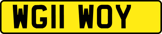 WG11WOY