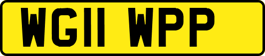 WG11WPP