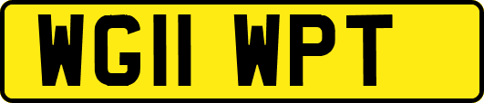 WG11WPT