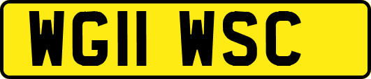 WG11WSC