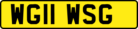 WG11WSG