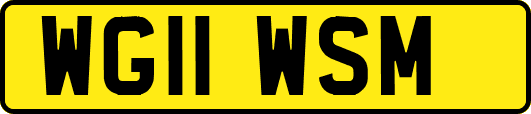 WG11WSM