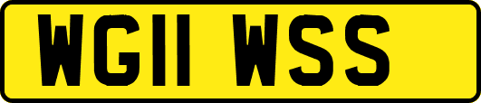 WG11WSS