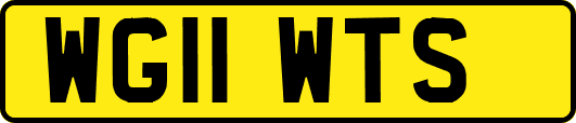 WG11WTS