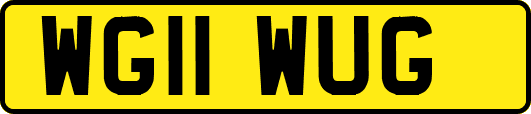 WG11WUG