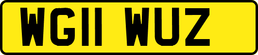 WG11WUZ