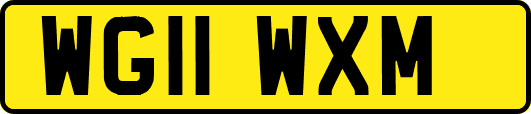 WG11WXM