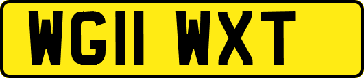 WG11WXT