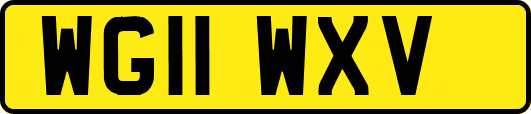 WG11WXV