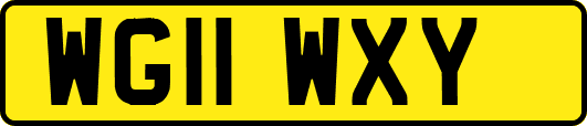 WG11WXY