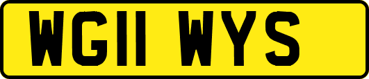 WG11WYS
