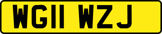 WG11WZJ
