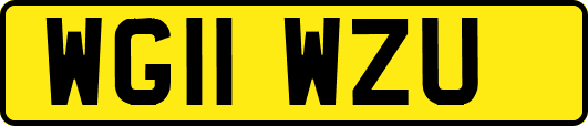 WG11WZU