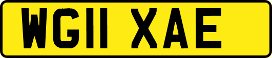 WG11XAE