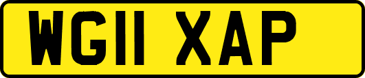 WG11XAP