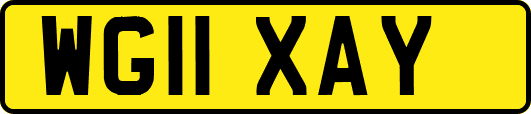 WG11XAY