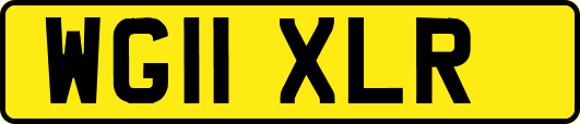 WG11XLR