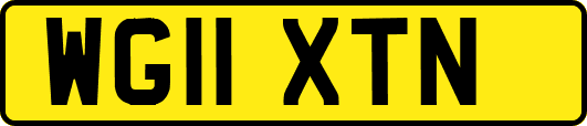 WG11XTN