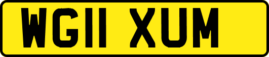 WG11XUM