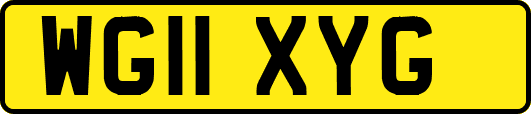 WG11XYG