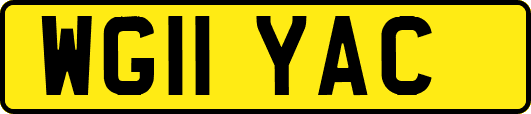 WG11YAC