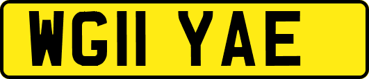 WG11YAE