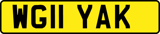 WG11YAK