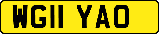 WG11YAO
