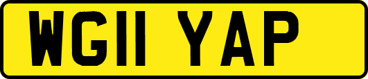 WG11YAP