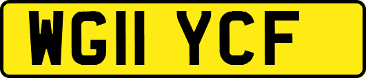 WG11YCF
