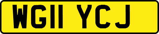 WG11YCJ