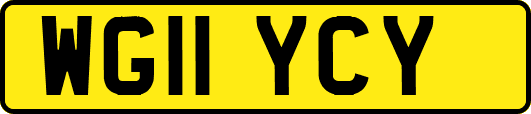 WG11YCY