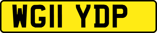 WG11YDP