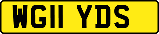 WG11YDS