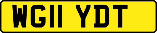 WG11YDT