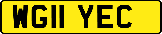 WG11YEC