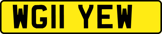 WG11YEW
