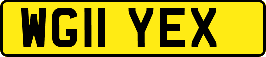 WG11YEX