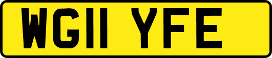 WG11YFE