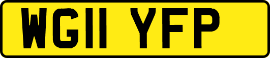 WG11YFP