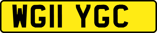 WG11YGC