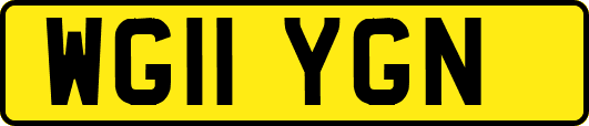 WG11YGN