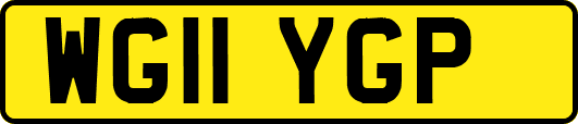 WG11YGP
