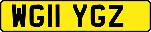 WG11YGZ