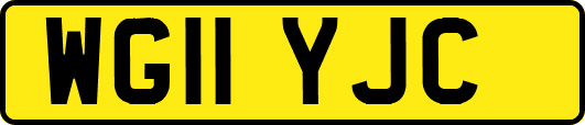 WG11YJC