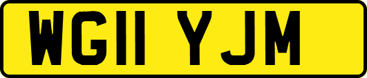 WG11YJM