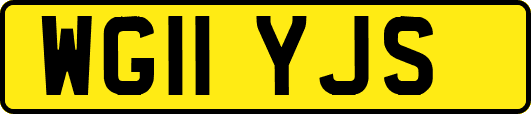 WG11YJS