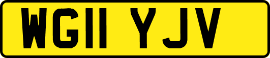 WG11YJV