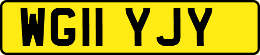 WG11YJY