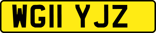 WG11YJZ